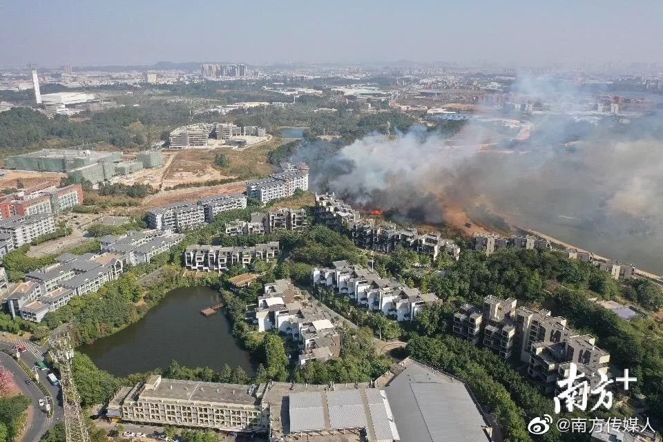 佛山通报狮山大学城突发山火 明火已扑灭无伤亡