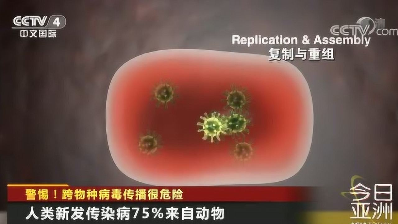 近期有致头晕的“新毒株”？多种呼吸道感染高发！