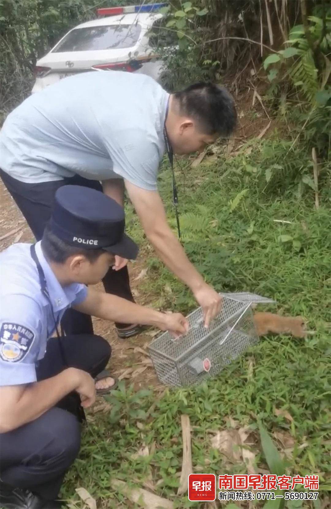 下水道捡到国家一级保护动物